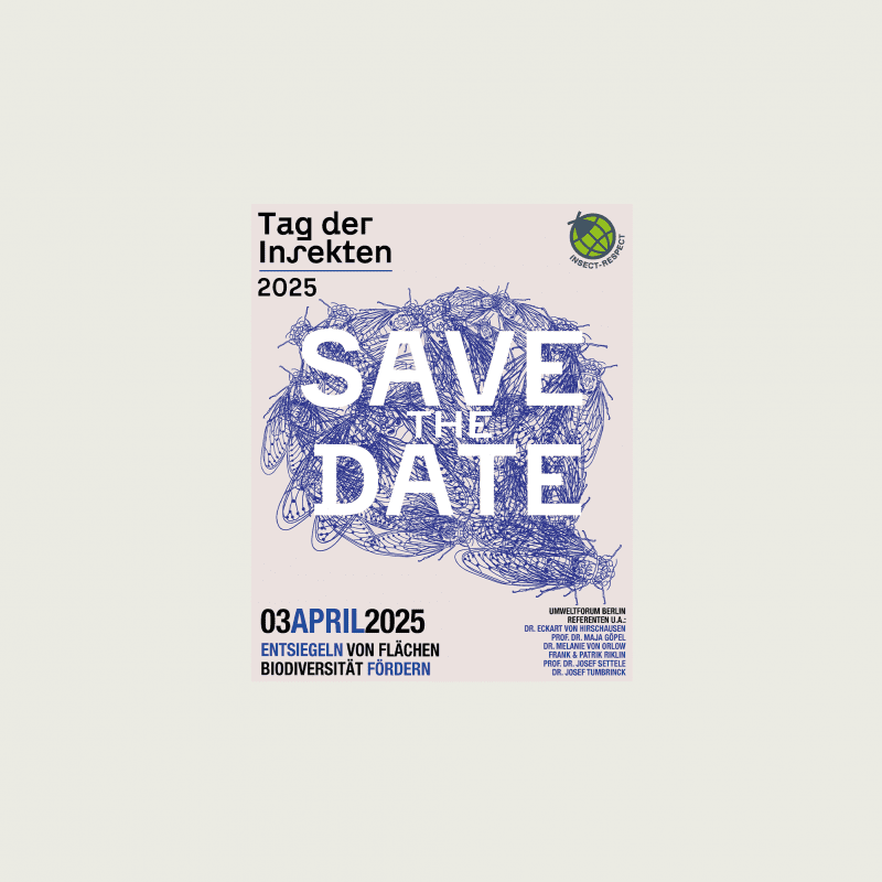 Tag der Insekten 2025 - Save the Date