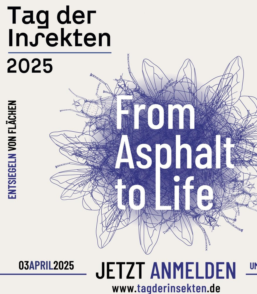 Tag der Insekten 2025 - Jetzt anmelden