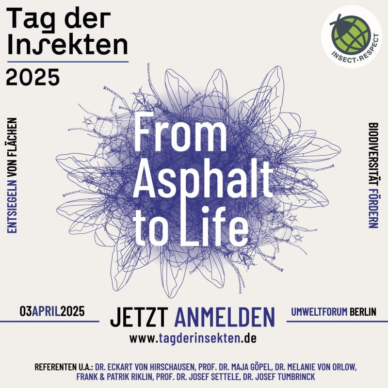 Tag der Insekten 2025 - Jetzt anmelden